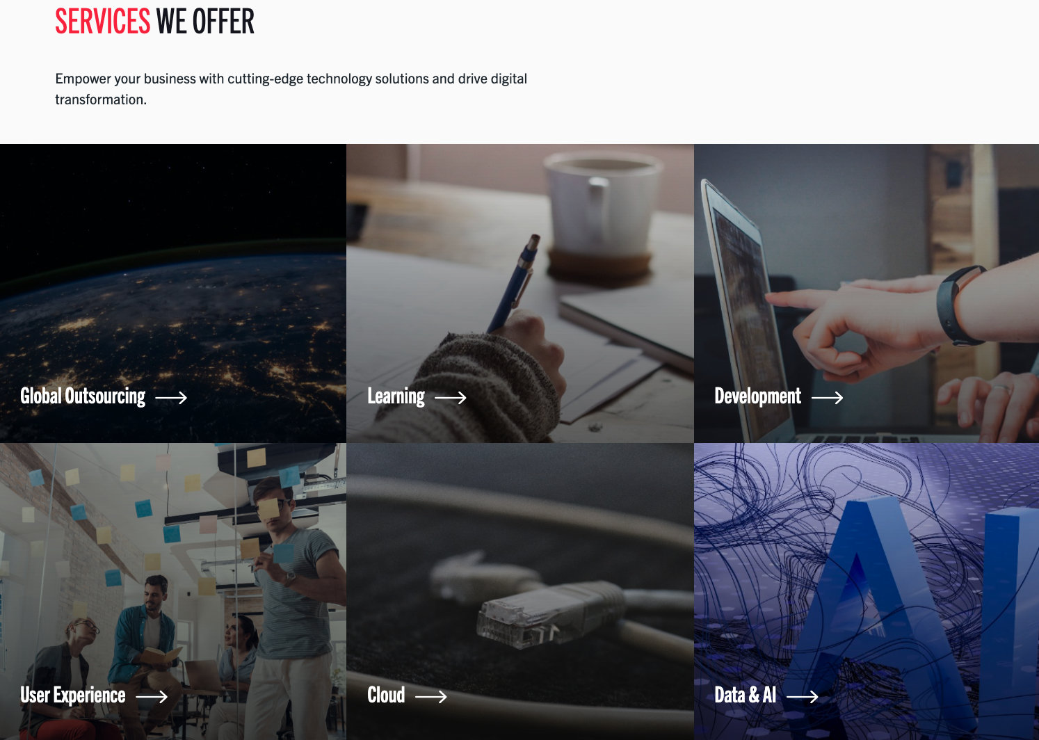 IntraEdge services section
